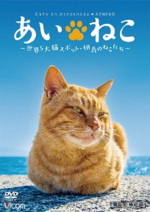 あいねこ 世界5大猫スポット・相島のねこたち/動物[DVD]【返品種別A】