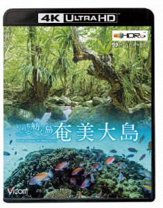 ビコム 4K Relaxes 奄美大島【4K・HDR】〜いのち紡ぐ島〜/BGV[Blu-ray]【返品種別A】