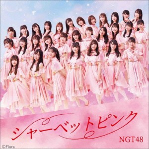 シャーベットピンク(TYPE-B)/NGT48[CD+DVD]【返品種別A】