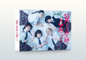 「荒ぶる季節の乙女どもよ。」DVD-BOX/山田杏奈,玉城ティナ[DVD]【返品種別A】