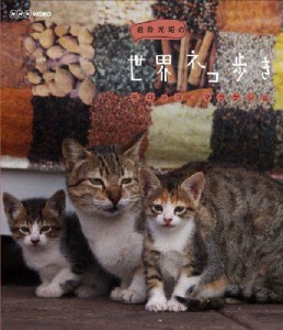 岩合光昭の世界ネコ歩き モロッコ・マラケシュ/ドキュメント[Blu-ray]【返品種別A】
