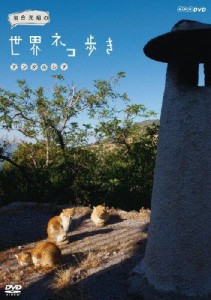 岩合光昭の世界ネコ歩き アンダルシア/ドキュメント[DVD]【返品種別A】