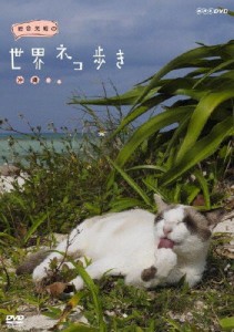 岩合光昭の世界ネコ歩き 沖縄/ドキュメント[DVD]【返品種別A】