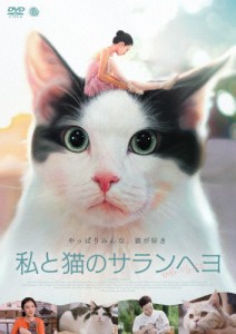 私と猫のサランヘヨ DVD/キム・ソヒ[DVD]【返品種別A】