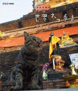 岩合光昭の世界ネコ歩き タイ・チェンマイ/ドキュメント[Blu-ray]【返品種別A】