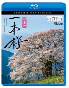 ビコム Relaxes BD 日本の一本桜 4K撮影作品/BGV[Blu-ray]【返品種別A】
