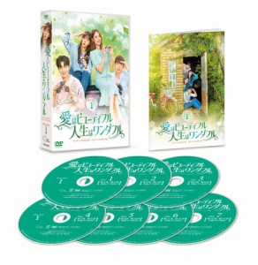 愛はビューティフル、人生はワンダフル DVD-BOX1/ソル・イナ[DVD]【返品種別A】