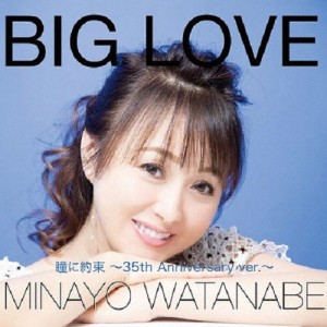 BIG LOVE/渡辺美奈代[CD]【返品種別A】