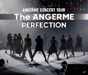 アンジュルム CONCERT TOUR -The ANGERME- PERFECTION/アンジュルム[Blu-ray]【返品種別A】