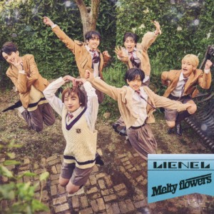 Melty flowers(TYPE-C)/Lienel[CD]【返品種別A】