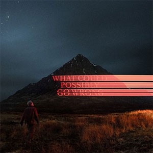 WHAT COULD POSSIBLY GO WRONG【輸入盤】▼/ドミニク・ファイク[CD]【返品種別A】