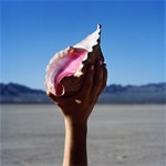 WONDERFUL WONDERFUL【輸入盤】▼/THE KILLERS[CD]【返品種別A】