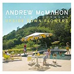 UPSIDE DOWNFLOWERS【輸入盤】▼/ANDREW MCMAHON IN THE WILDERNESS[CD]【返品種別A】