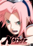 NARUTO-ナルト- 5th STAGE 2007 巻ノ九/アニメーション[DVD]【返品種別A】