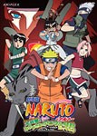 劇場版 NARUTO-ナルト-大興奮!みかづき島のアニマル騒動だってばよ/アニメーション[DVD]【返品種別A】