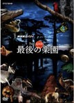 NHKスペシャル ホットスポット 最後の楽園 DVD-BOX/ドキュメント[DVD]【返品種別A】