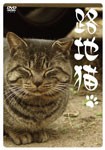 路地猫/動物[DVD]【返品種別A】