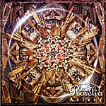 Anfang/Roselia[CD]通常盤【返品種別A】