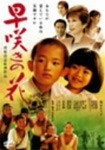 早咲きの花/浅丘ルリ子[DVD]【返品種別A】