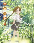 たまゆら〜もあぐれっしぶ〜第3巻/アニメーション[DVD]【返品種別A】