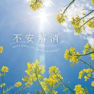 不安解消/広橋真紀子[CD]【返品種別A】