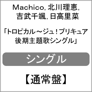 プリキュア ゲーム ソフトの通販 Au Pay マーケット