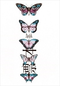 標本 [TYPE-A]/heidi.[CD+DVD]【返品種別A】