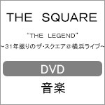 “THE LEGEND”〜31年振りのザ・スクエア@横浜ライブ〜/THE SQUARE[DVD]【返品種別A】