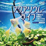 アクアリウム・ライフ 水槽を彩る熱帯魚と水草の小宇宙/BGV[DVD]【返品種別A】