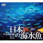 日本の海水魚 DVD映像図鑑/教養[DVD]【返品種別A】