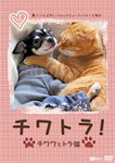 チワトラ!チワワとトラ猫★凛(リン)と正宗にぃちゃんのビューティフォーな毎日!/動物[DVD]【返品種別A】