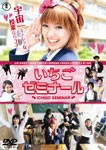 いちごゼミナール/菊地凛子[DVD]【返品種別A】