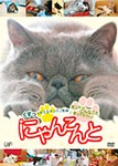 にゃんこんと〜くすっと笑えるネコネコ動画 ホントはこんなこと言ってたりして〜/動物[DVD]【返品種別A】