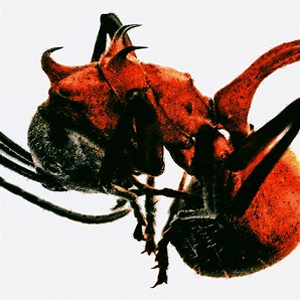 VOL.4 [ANT]【輸入盤】▼/QM[CD]【返品種別A】