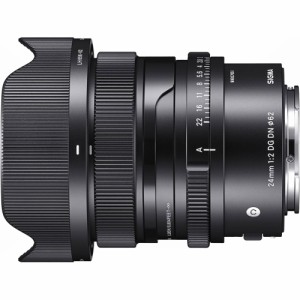 シグマ 24MMF2DGDN_C_SE 24mm F2 DG DN※ソニーFEマウント用レンズ（フルサイズミラーレス対応）[24MMF2DGDNCSE] 返品種別A