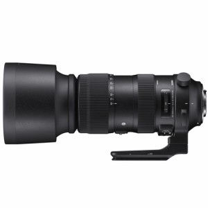 シグマ 60-600MMDG_OS_(S)_NA 60-600mm F4.5-6.3 DG OS HSM※ニコンFマウント用レンズ（FXフォーマット対応）[60600MMDGOSSNA] 返品種別A