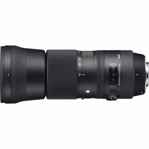 シグマ 150-600_DG_OS/CON_NA 150-600mm F5-6.3 DG OS HSM※ニコンFマウント用レンズ（FXフォーマット対応）[150600DGOSCONNA] 返品種別A