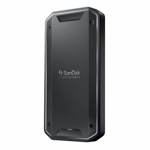 SanDisk Professional SDPS31H-001T-GBCND Thunderbolt 3/USB-C 両対応 超高速ポータブルSSD 1TB[SDPS31H001TGBCND] 返品種別A