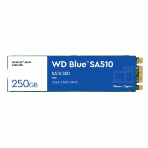 Western Digital（ウエスタンデジタル） WDS250G3B0B 内蔵SSD WD Blue SA510 SATA SSD M.2 2280 250GB[WDS250G3B0B] 返品種別B