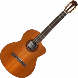 エレ ガット ギターの通販｜au PAY マーケット