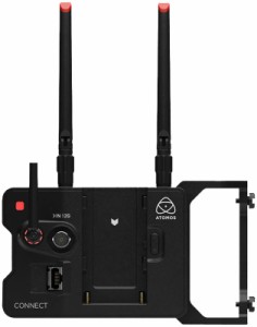 アトモス ATOMCON003 ATOMOS CONNECTATOMOS[ATOMCON003] 返品種別A