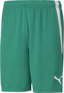 プーマ サッカー・フットサル用 ジュニア ゲームパンツ（ペッパーグリーン・サイズ：XL） PUMA TEAMLIGA PAJ-705151-05-XL返品種別A