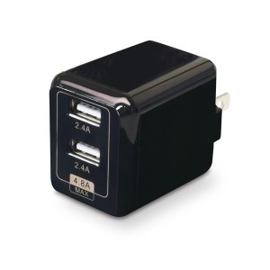 JTT CUBEAC248BK USB充電器 cubeタイプ 2ポート 合計4.8A（ブラック）[CUBEAC248BK] 返品種別A