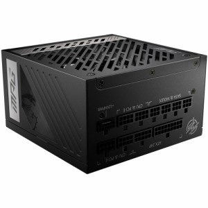 MSI MPG A1000G PCIE5 ATX電源 1000W（80PLUS GOLD認定取得）[MPGA1000GPCIE5] 返品種別B