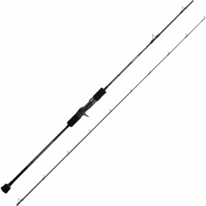 天龍 ホライゾン プログレッシブ 6.6ft MH 1ピース ベイト MAX230g HPG66B-MH返品種別A