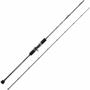 天龍 ホライゾン プログレッシブ 6.6ft H 1ピース ベイト MAX300g HPG66B-H返品種別A