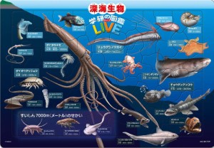 テンヨー チャイルドパズル 深海生物図鑑（学研の図鑑LIVE） 80ピース【MC-80-759】ジグソーパズル  返品種別B