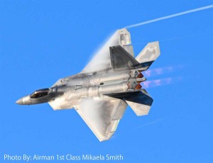 プラッツ 1/144 アメリカ空軍戦闘機 F-22Aラプター”デモンストレーションチーム”2機セット【PF-64】プラモデル  返品種別B
