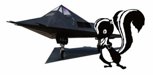 プラッツ 1/144 アメリカ空軍 ステルス戦闘機 F-117 ナイトホーク スカンクワークス【AE144-15】プラモデル  返品種別B