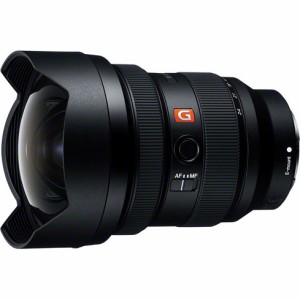 ソニー SEL1224GM FE 12-24mm F2.8 GM[SEL1224GM] 返品種別A